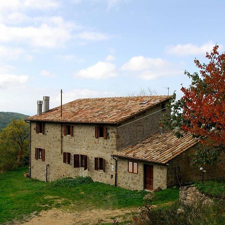 A Stay Surrounded By Greenery - Agriturismo La Piaggia - App 2 Bathrooms Vivo dʼOrcia Zewnętrze zdjęcie