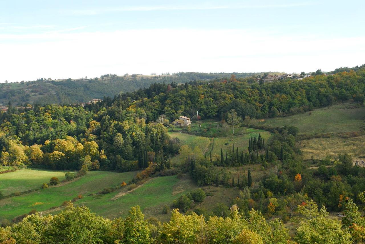 A Stay Surrounded By Greenery - Agriturismo La Piaggia - App 2 Bathrooms Vivo dʼOrcia Zewnętrze zdjęcie