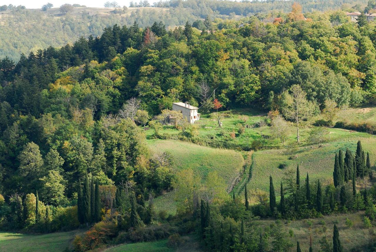 A Stay Surrounded By Greenery - Agriturismo La Piaggia - App 2 Bathrooms Vivo dʼOrcia Zewnętrze zdjęcie