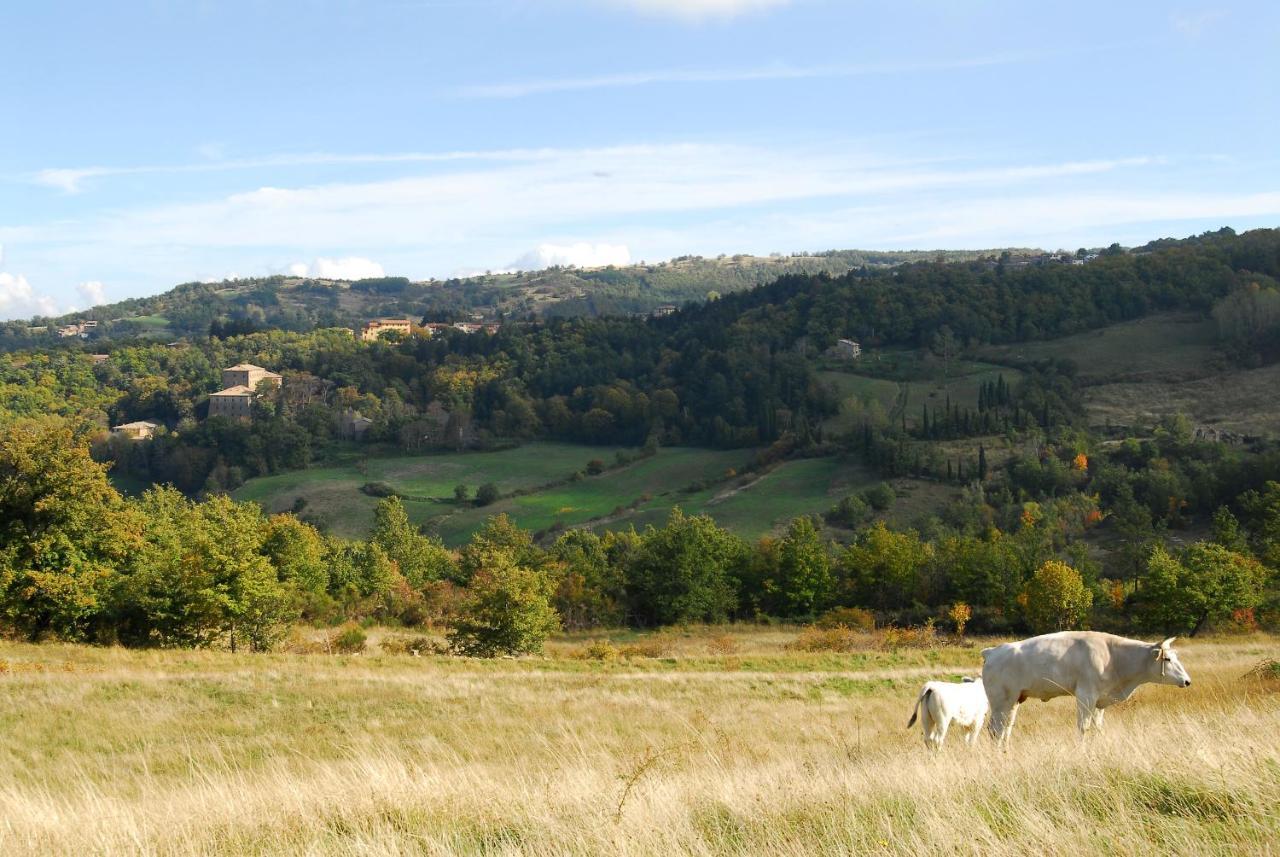 A Stay Surrounded By Greenery - Agriturismo La Piaggia - App 2 Bathrooms Vivo dʼOrcia Zewnętrze zdjęcie