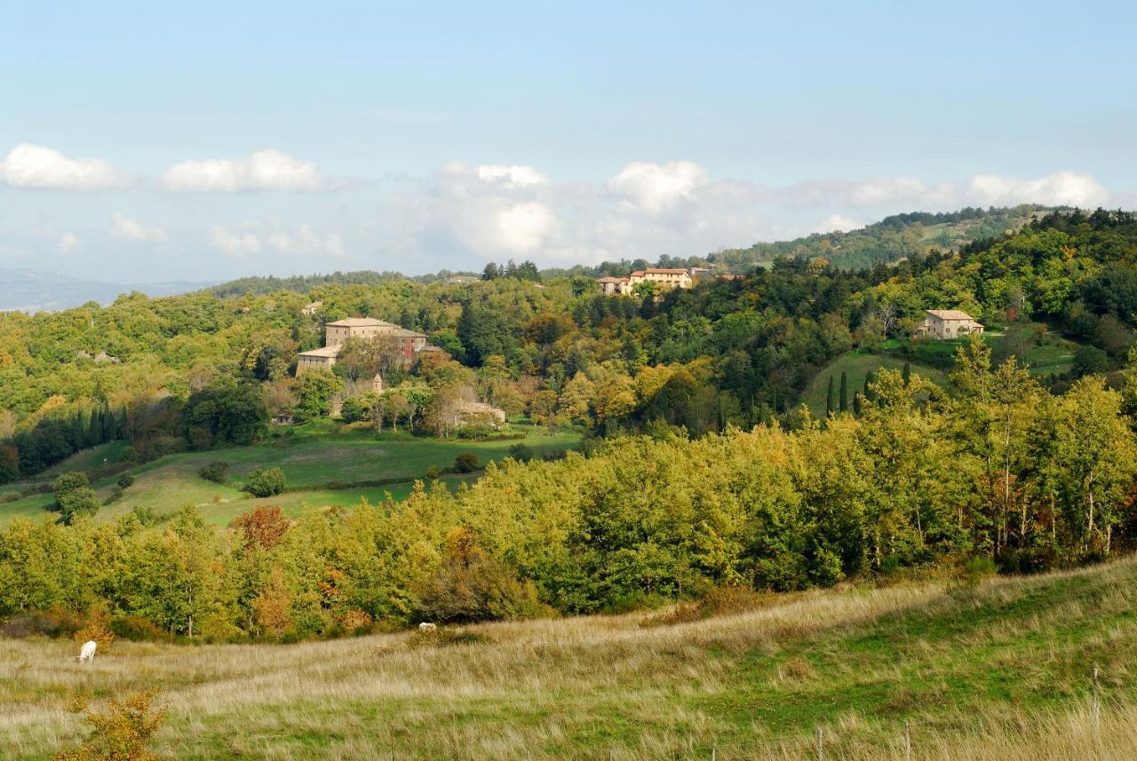 A Stay Surrounded By Greenery - Agriturismo La Piaggia - App 2 Bathrooms Vivo dʼOrcia Zewnętrze zdjęcie